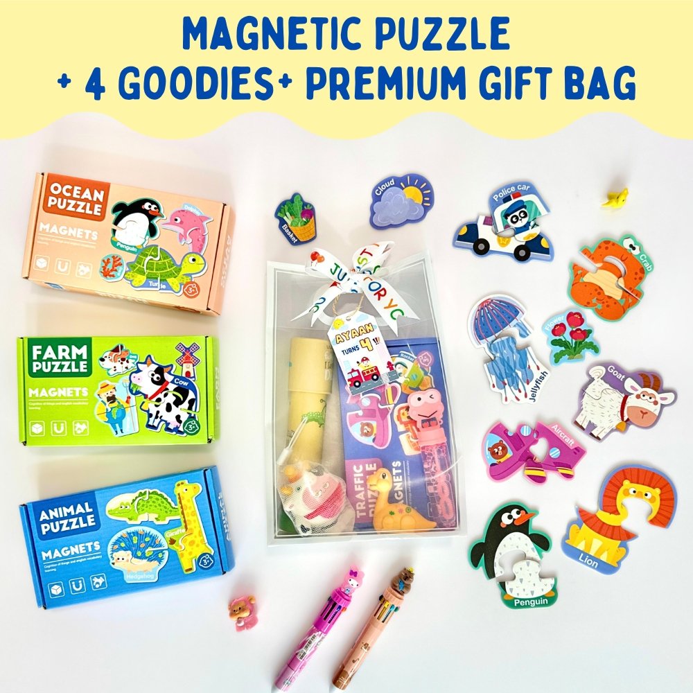 Magnetic Puzzles Premium Goodie Bag