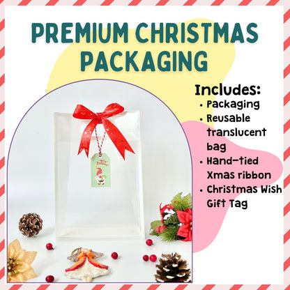 Premium Christmas Gift Bag Packaging